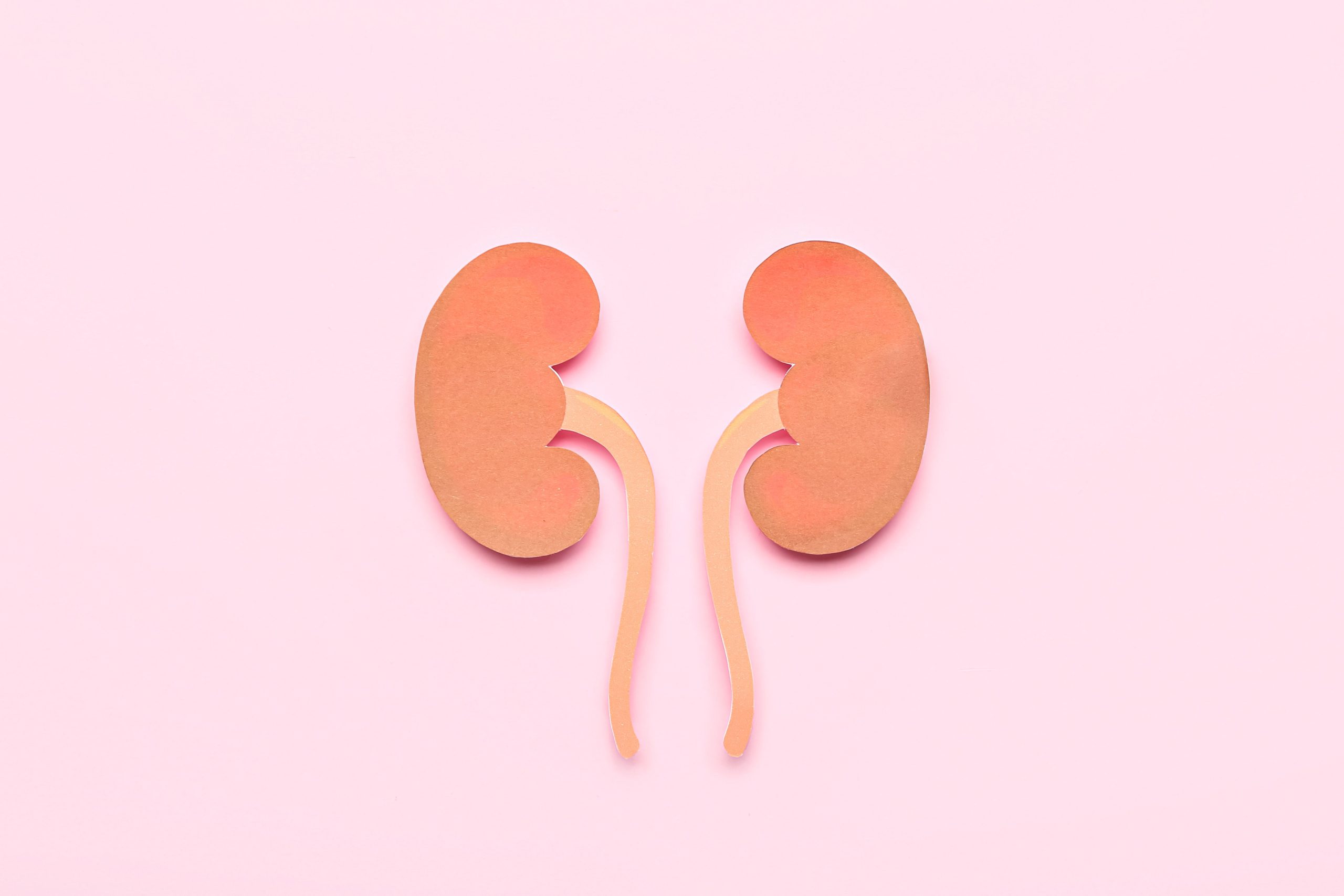 Read more about the article The Vital Role of Kidneys: Celebrating World Kidney Day