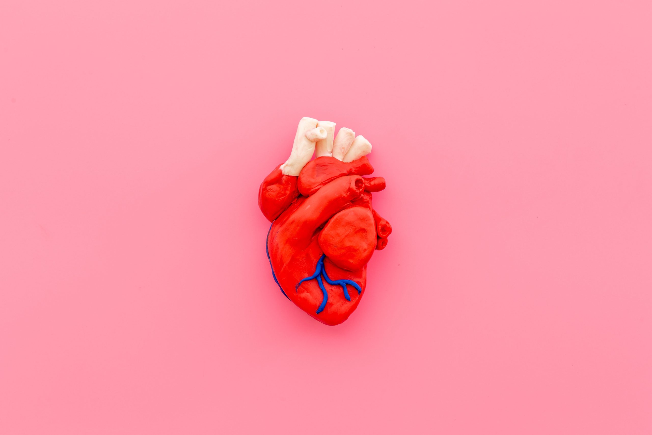 Read more about the article How to Maintain a Healthy Heart: Advice from Pharmacists
